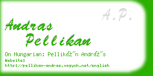 andras pellikan business card